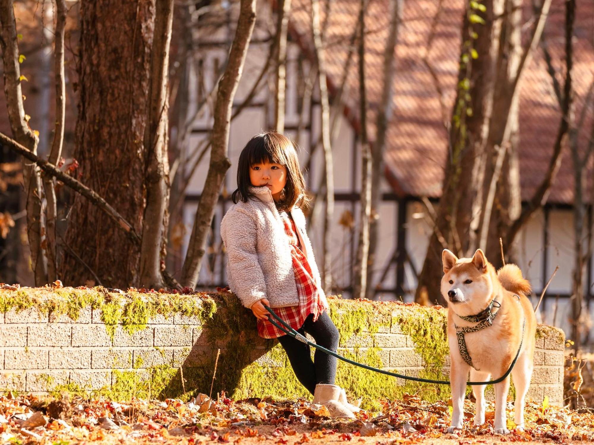 Tokachi Nakasatsunai Glamping Resort Feriendorf Buitenkant foto