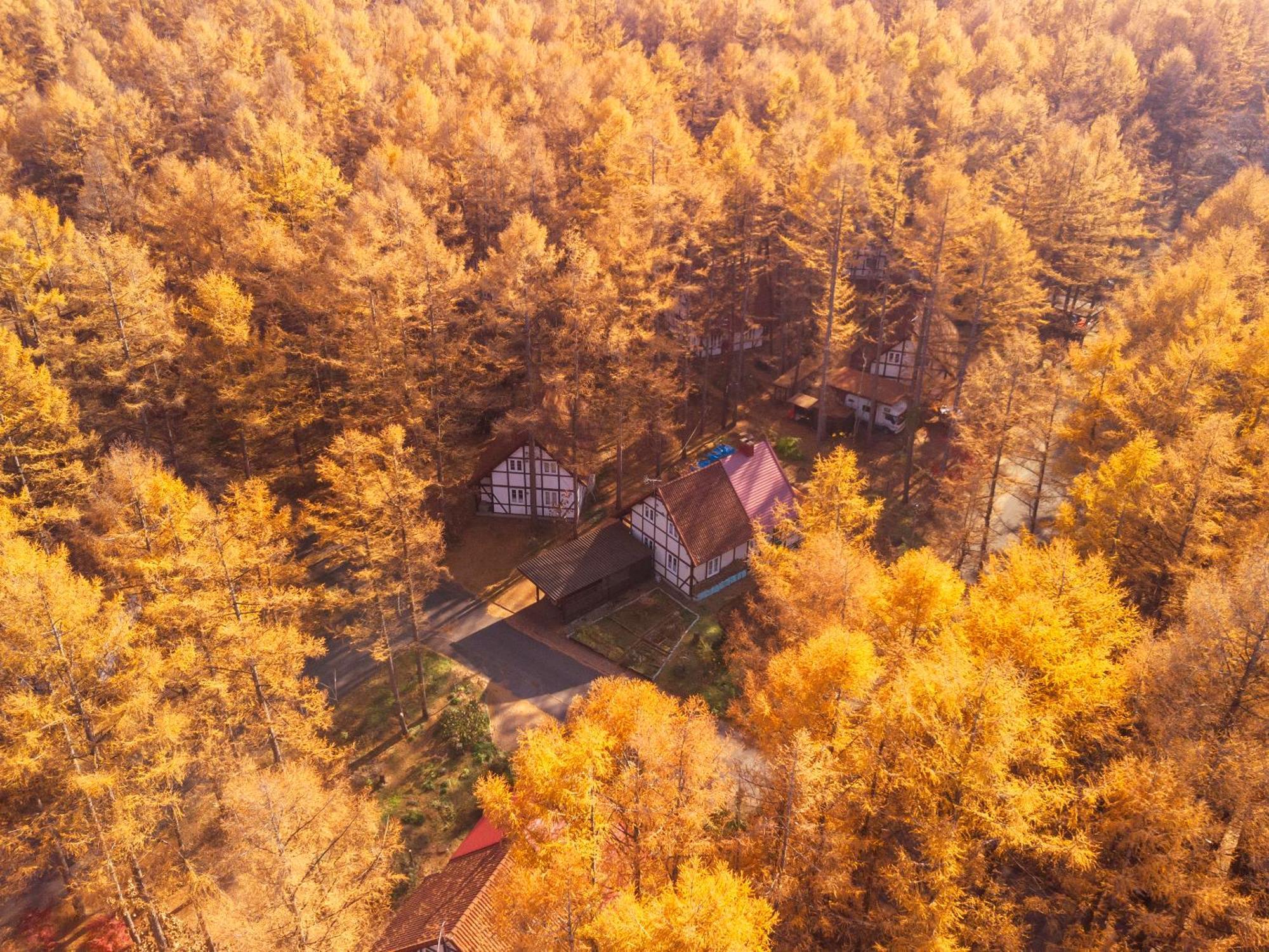 Tokachi Nakasatsunai Glamping Resort Feriendorf Buitenkant foto
